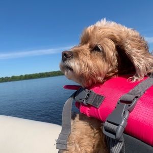 Meet your Posher, Susan